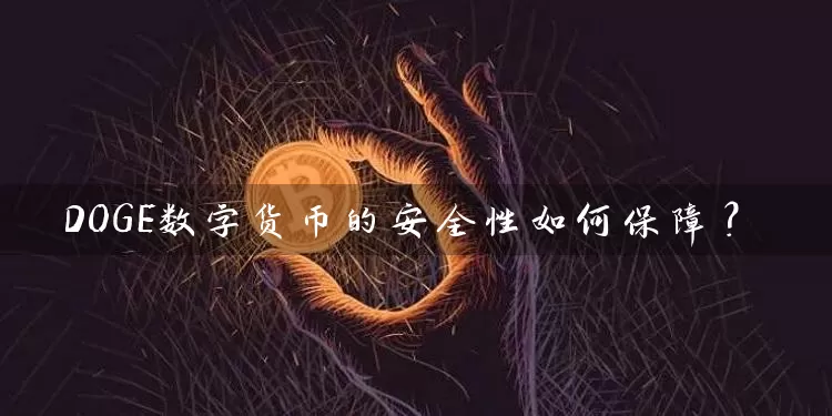 DOGE数字货币的安全性如何保障？