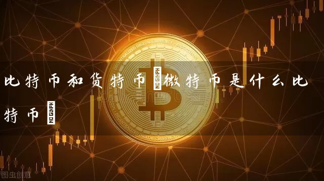 比特币和货特币(微特币是什么比特币)