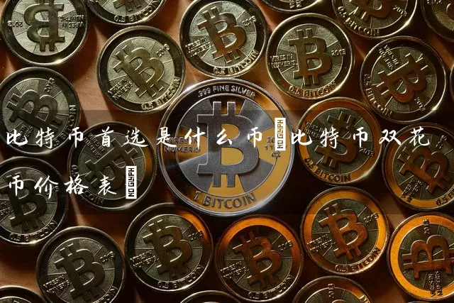 比特币首选是什么币(比特币双花币价格表)