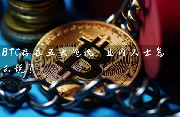 BTC存在五大隐忧 业内人士怎么说？