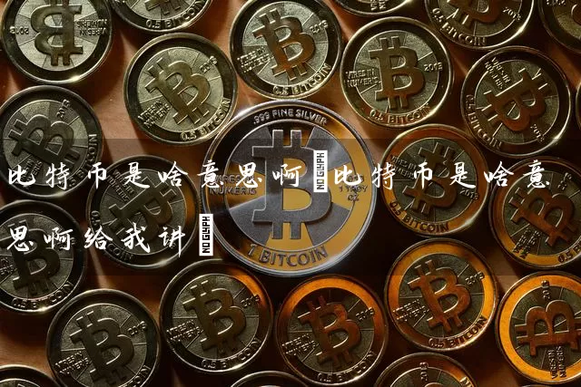 比特币是啥意思啊(比特币是啥意思啊给我讲)