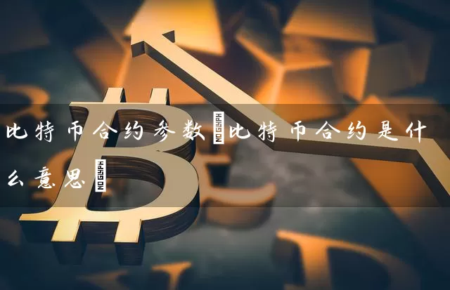 比特币合约参数(比特币合约是什么意思)