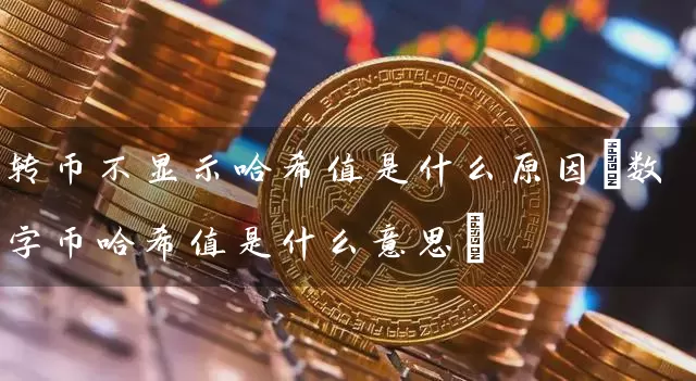 转币不显示哈希值是什么原因(数字币哈希值是什么意思)