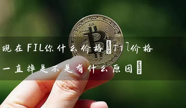 现在FIL你什么价格(fil价格一直掉是不是有什么原因)