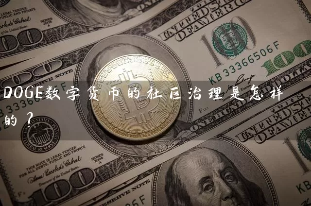DOGE数字货币的社区治理是怎样的？
