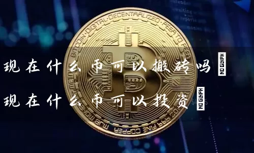 现在什么币可以搬砖吗(现在什么币可以投资)