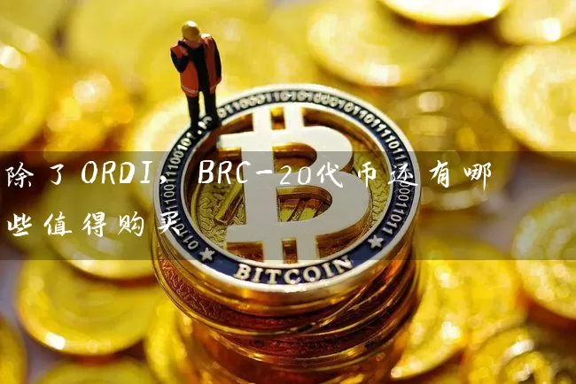 除了ORDI，BRC-20代币还有哪些值得购买