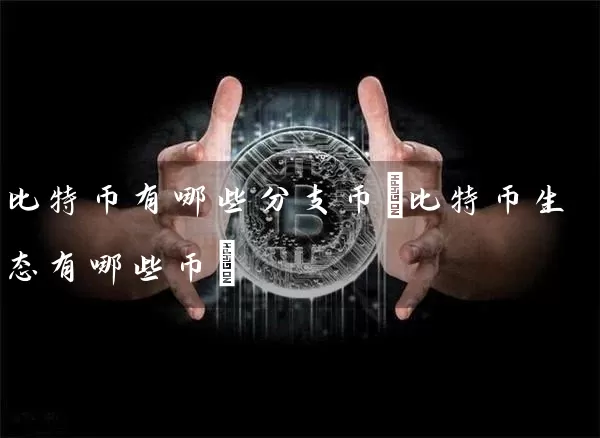 比特币有哪些分支币(比特币生态有哪些币)