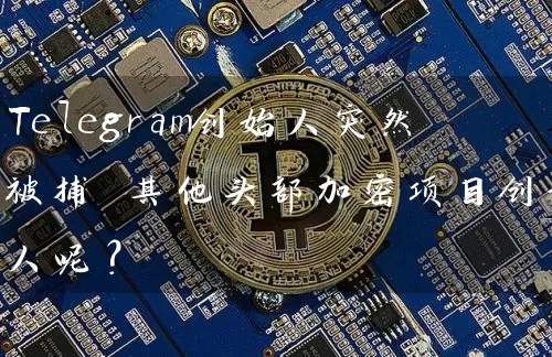 Telegram创始人突然被捕 其他头部加密项目创始人呢？