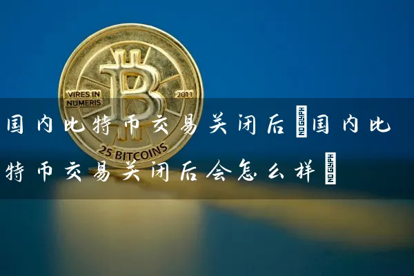 国内比特币交易关闭后(国内比特币交易关闭后会怎么样)
