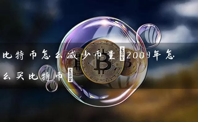 比特币怎么减少币量(2009年怎么买比特币)