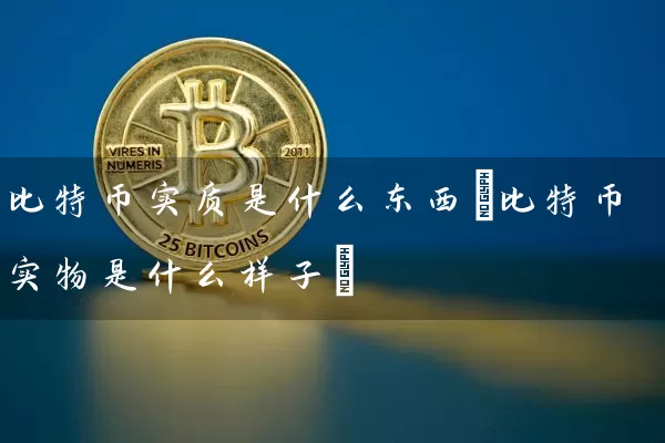 比特币实质是什么东西(比特币实物是什么样子)