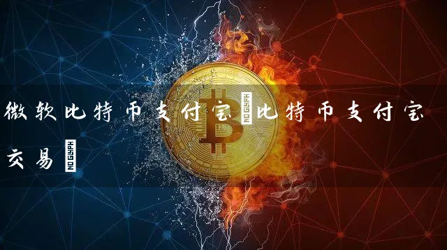 微软比特币支付宝(比特币支付宝交易)
