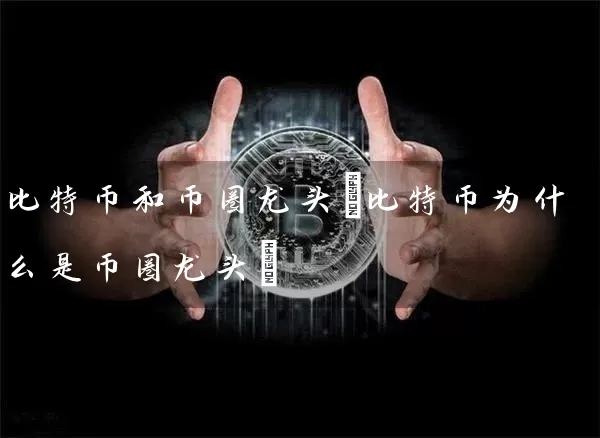 比特币和币圈龙头(比特币为什么是币圈龙头)