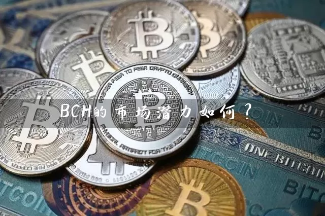 BCH的市场潜力如何？