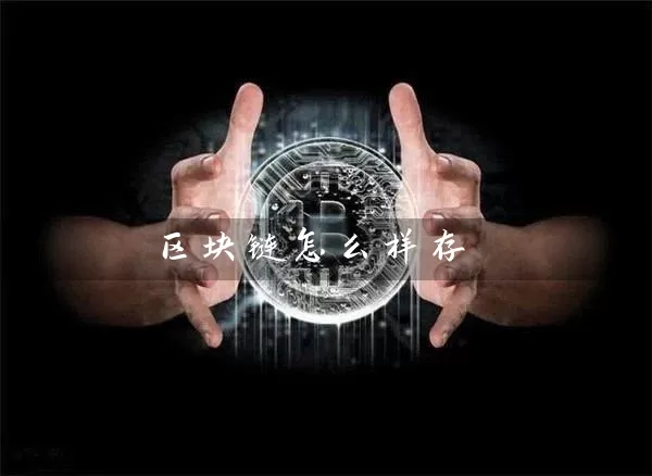 区块链怎么样存