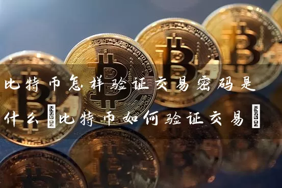 比特币怎样验证交易是什么(比特币如何验证交易)