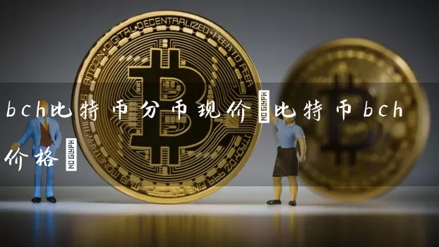 bch比特币分币现价(比特币bch价格)