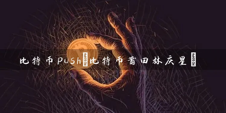 比特币push(比特币莆田林庆星)