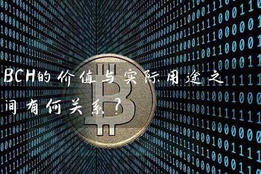 BCH的价值与实际用途之间有何关系？