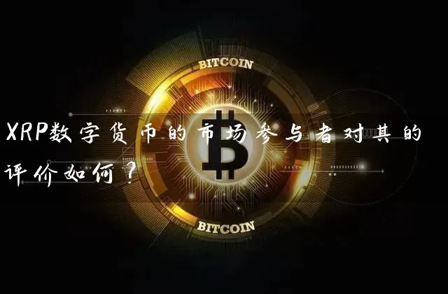 XRP数字货币的市场参与者对其的评价如何？