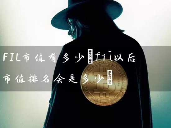 FIL市值有多少(fil以后市值排名会是多少)
