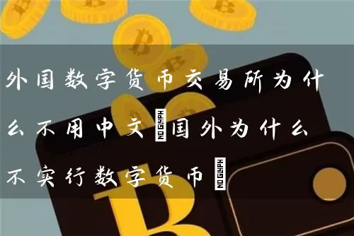 外国数字货币交易所为什么不用中文(国外为什么不实行数字货币)