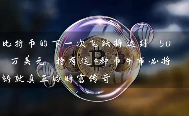 比特币的下一次飞跃将达到 50 万美元 持有这4种币牛市必将铸就真正的财富传奇