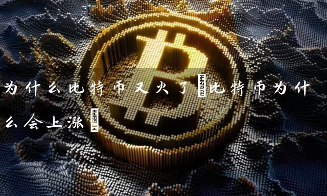 为什么比特币又火了(比特币为什么会上涨)