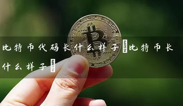 比特币代码长什么样子(比特币长什么样子)