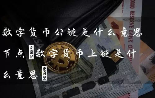 数字货币公链是什么意思节点(数字货币上链是什么意思)
