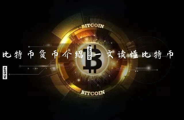 比特币货币介绍(一文读懂比特币)