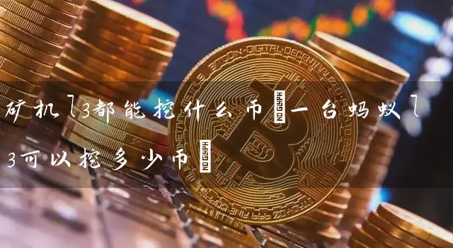矿机l3都能挖什么币(一台蚂蚁l3可以挖多少币)