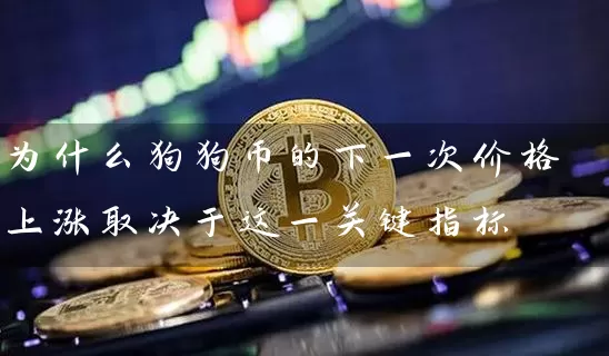 为什么狗狗币的下一次价格上涨取决于这一关键指标