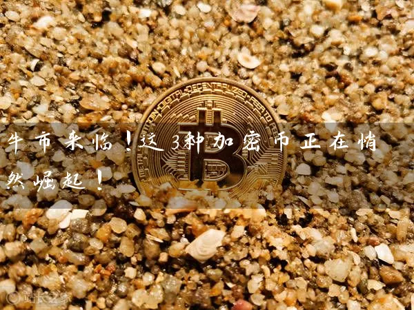 牛市来临!这3种加密币正在悄然崛起!