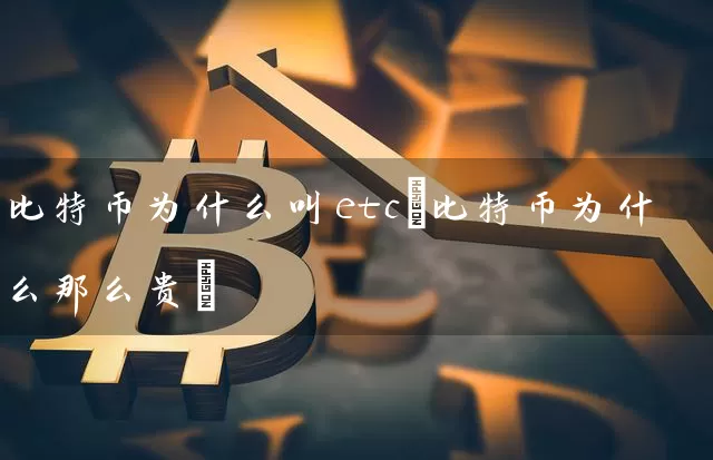比特币为什么叫etc(比特币为什么那么贵)