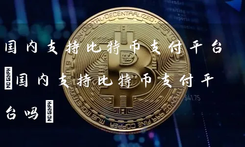 国内支持比特币支付平台(国内支持比特币支付平台吗)