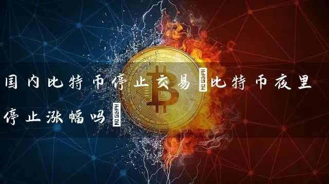 国内比特币停止交易(比特币夜里停止涨幅吗)