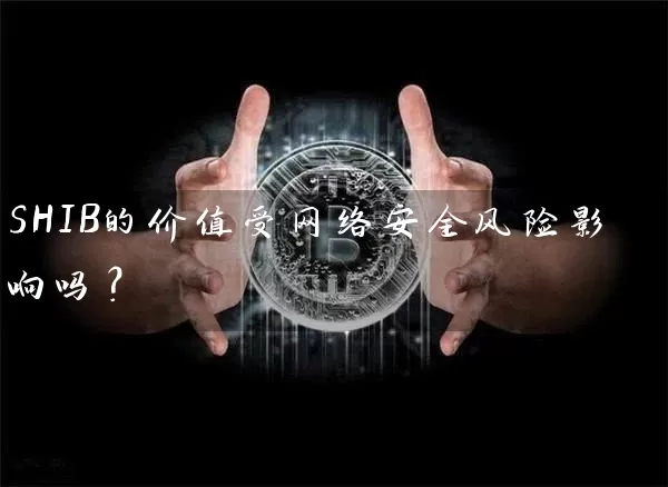 SHIB的价值受网络安全风险影响吗？