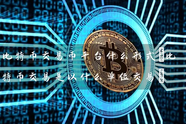 比特币交易币平台什么形式(比特币交易是以什么单位交易)
