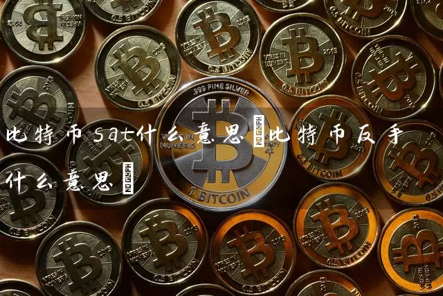 比特币sat什么意思(比特币反手什么意思)