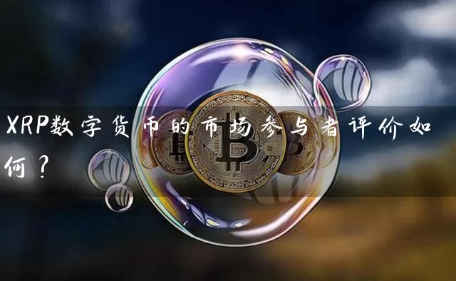 XRP数字货币的市场参与者评价如何？