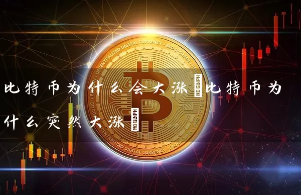 比特币为什么会大涨(比特币为什么突然大涨)