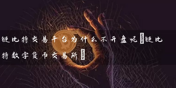 链比特交易平台为什么不呢(链比特数字货币交易所)