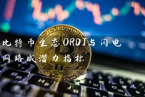比特币生态ORDI与闪电网路成潜力指标