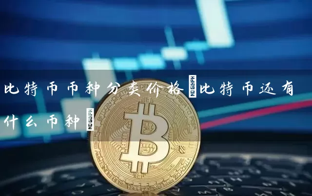 比特币币种分类价格(比特币还有什么币种)