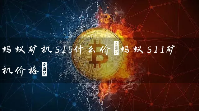 蚂蚁矿机s15什么价(蚂蚁s11矿机价格)