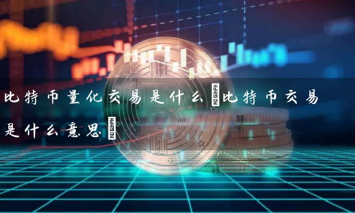 比特币量化交易是什么(比特币交易是什么意思)