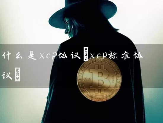 什么是xcp协议(xcp标准协议)