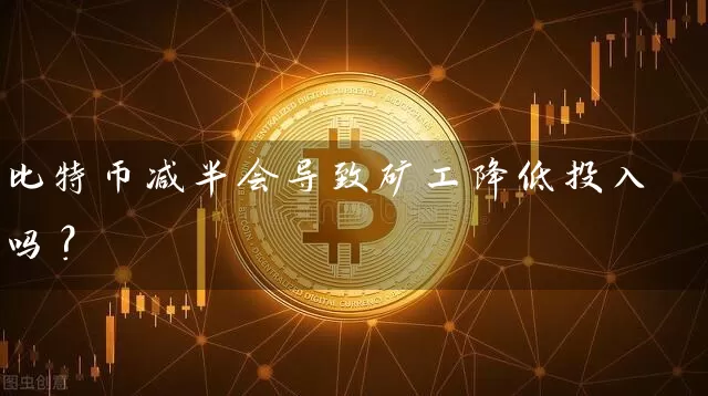 比特币减半会导致矿工降低投入吗？